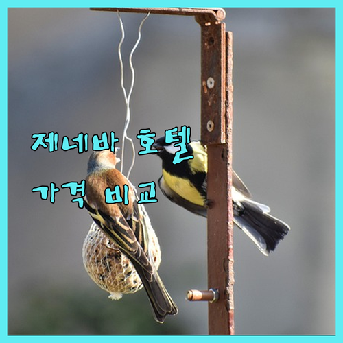 제네바 인기 호텔 추천 시티즌M, 루
