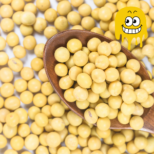 뱃살 빼는 최고의 음식