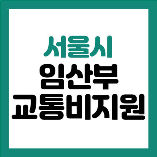 서울시 임산부 교통비지원