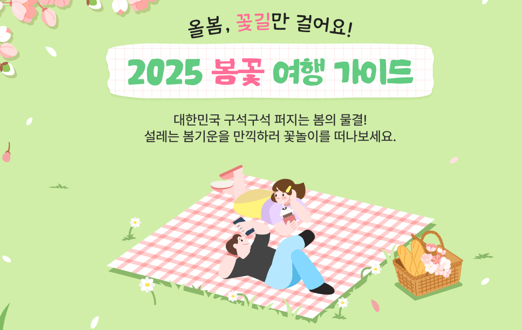 2025 봄꽃 여행 가이드