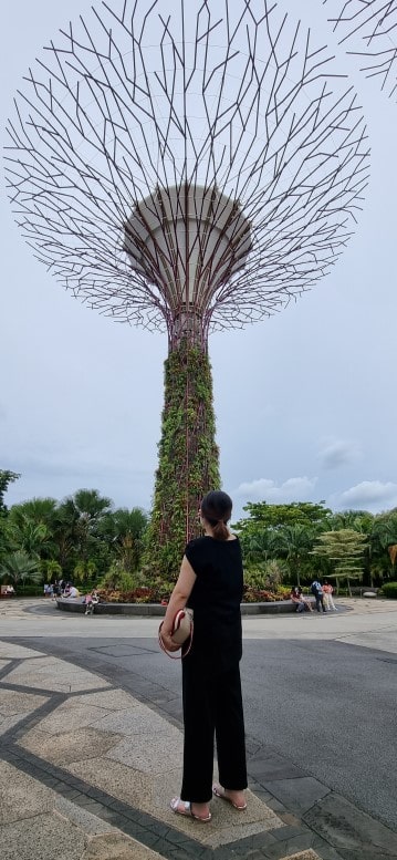 가든스 바이 더 베이 슈퍼 트리 쇼