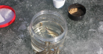 강화도 빙어 얼음낚시 축제 일정 비용 가이드