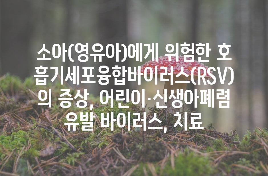 샘플 (42)