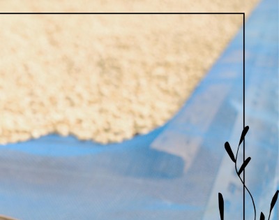 병아리콩 효능 부작용