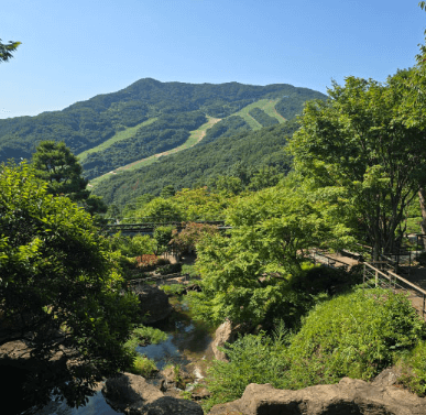 화담숲 예약 (ft. 할인 정보)