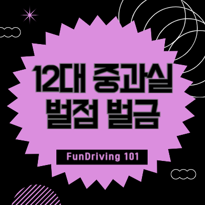 12대-중과실-벌점-벌금