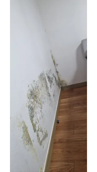 곰팡이 제거 락스 과탄산소다 환기 습기 원인 총정리_8