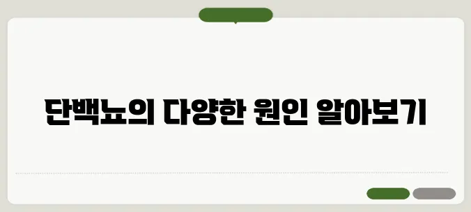 단백뇨의 원인 신장 질환부터 생활습관까지 원인 총정리