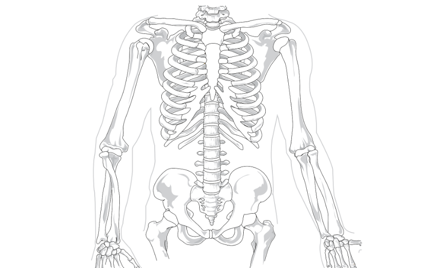 강직성 척추염, 척추가 굳어가는 병을 아시나요?