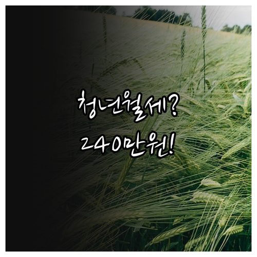 2026년 광양시 청년월세 최대 24..
