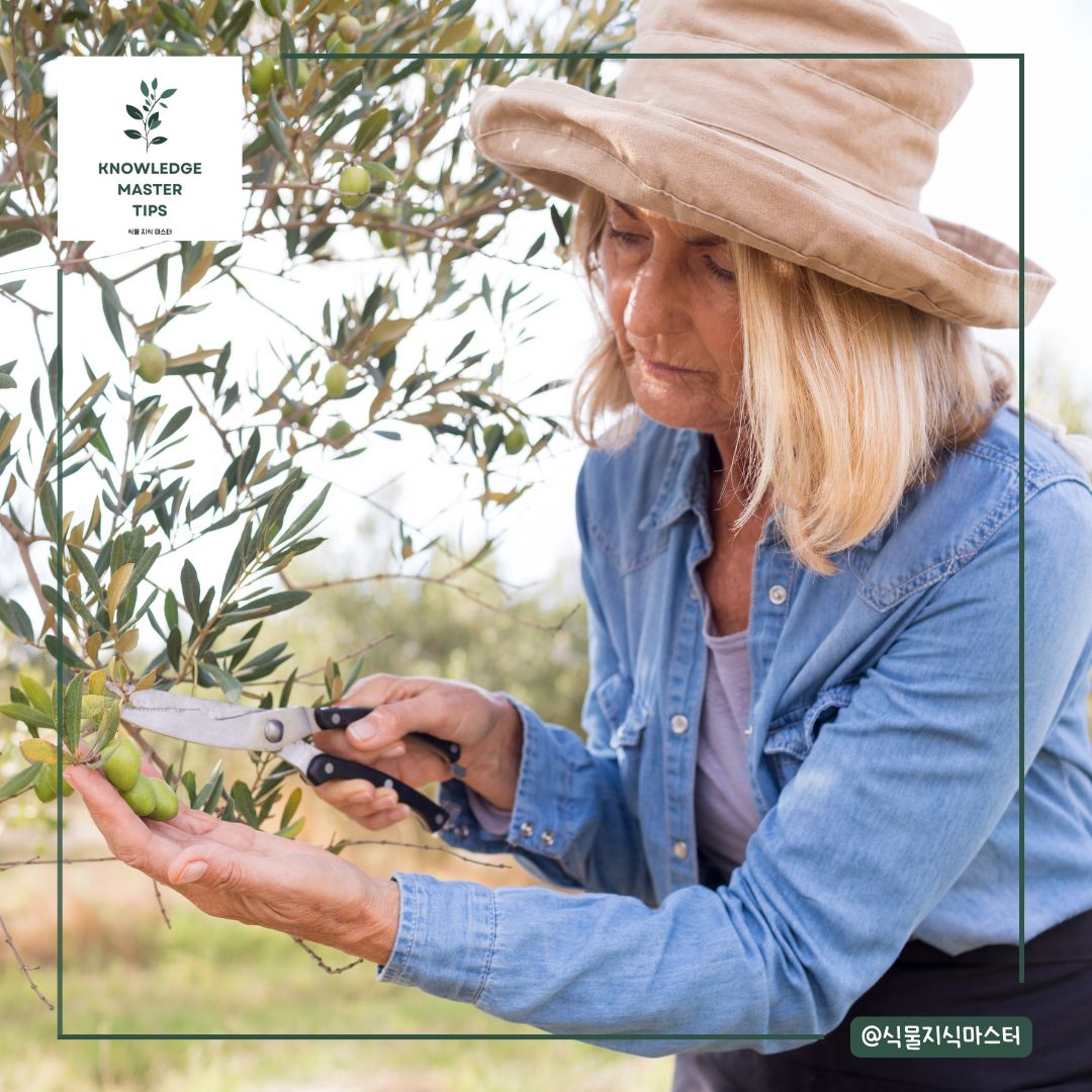 분재처럼 가지치기를 하는 이유