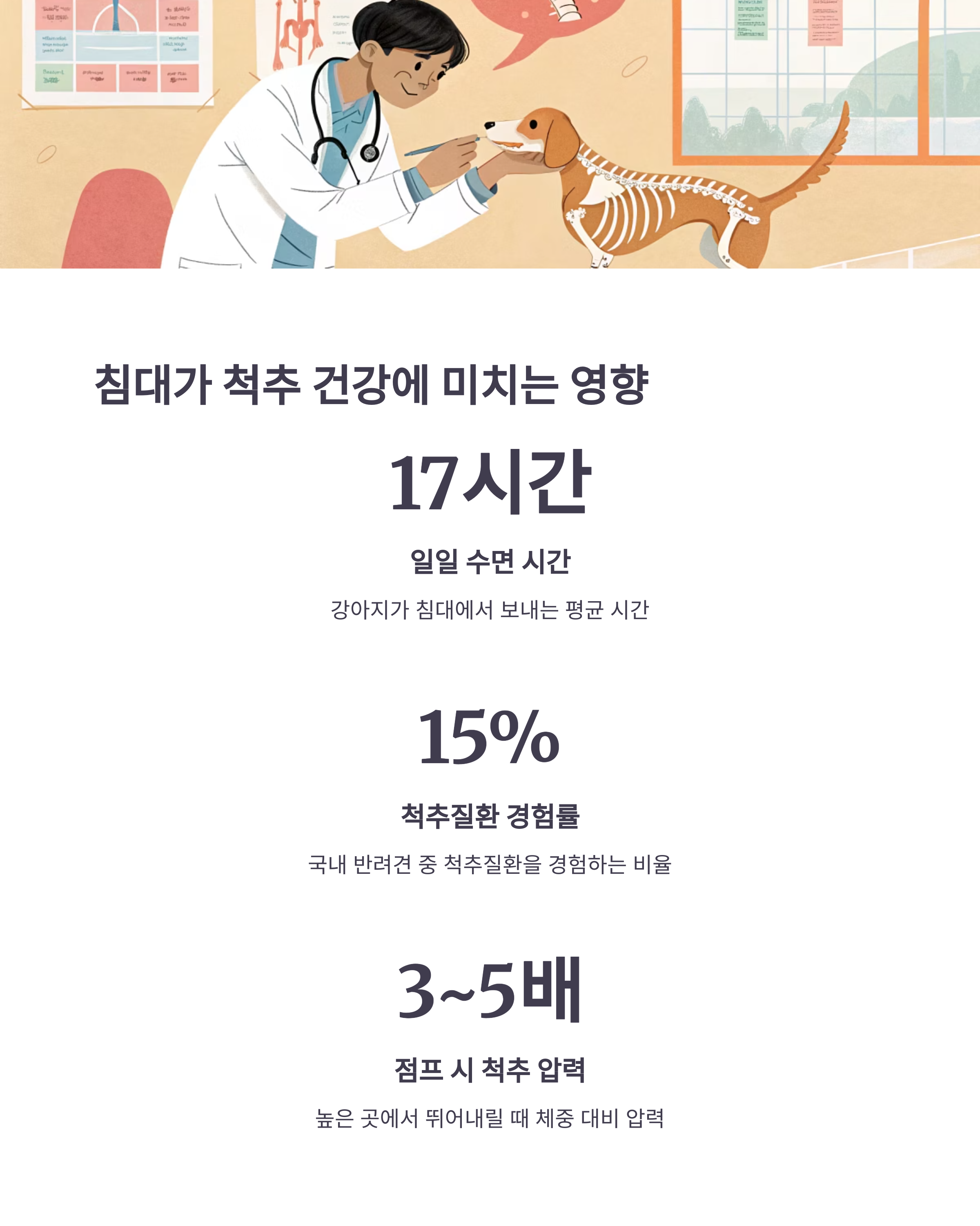 침대가 척추 건강에 미치는 영향