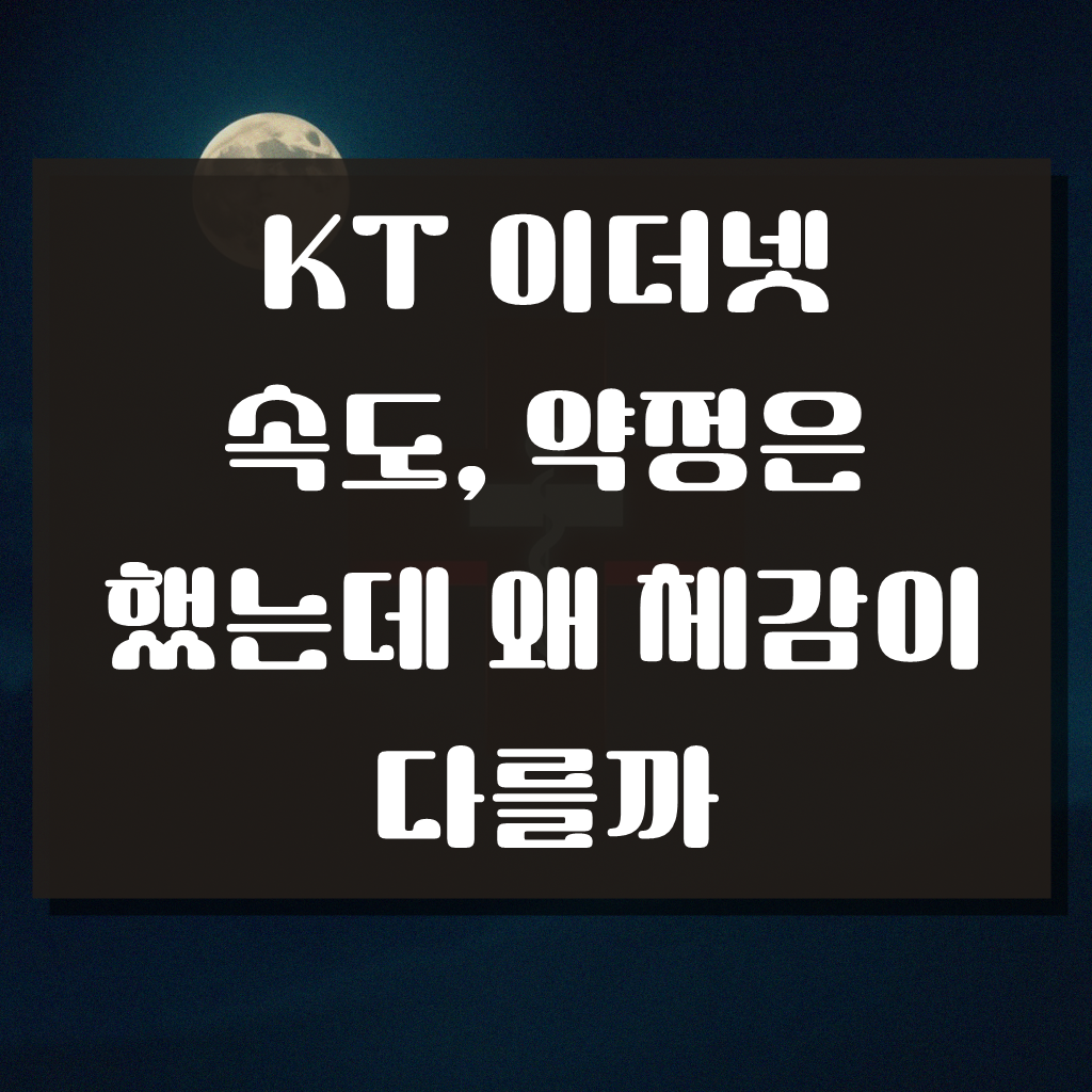 KT 이더넷 속도, 내가 겪어보니 이게 맞았다