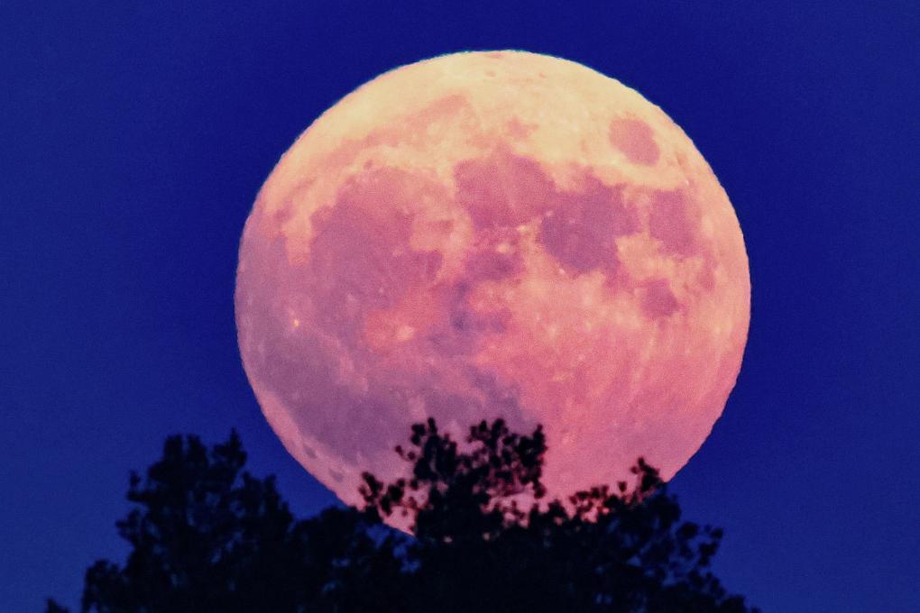 🌕 2025년 ‘슈퍼문’이 뜬다! 올해 가장 큰 보름달, 11월 5일 밤 하늘 수놓는다