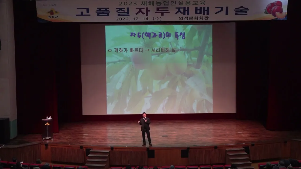 자두 재배 결과지 관리 칼슘 시비 낙과 예방_5