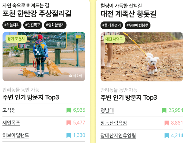 반려견 동반 여행지 top10