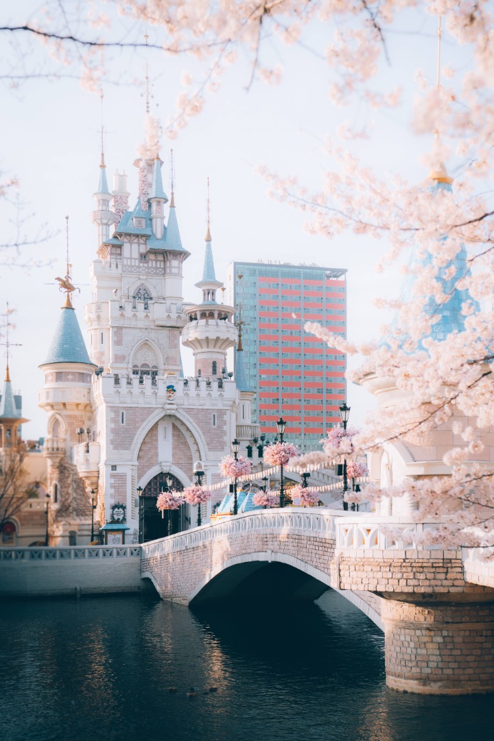 석촌호수 벚꽃축제