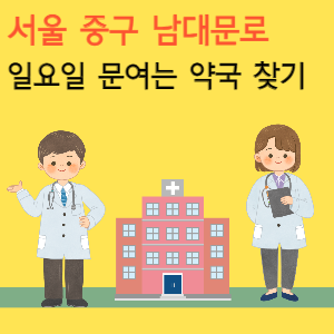 서울 중구 남대문로 일요일 문여는 당번 약국