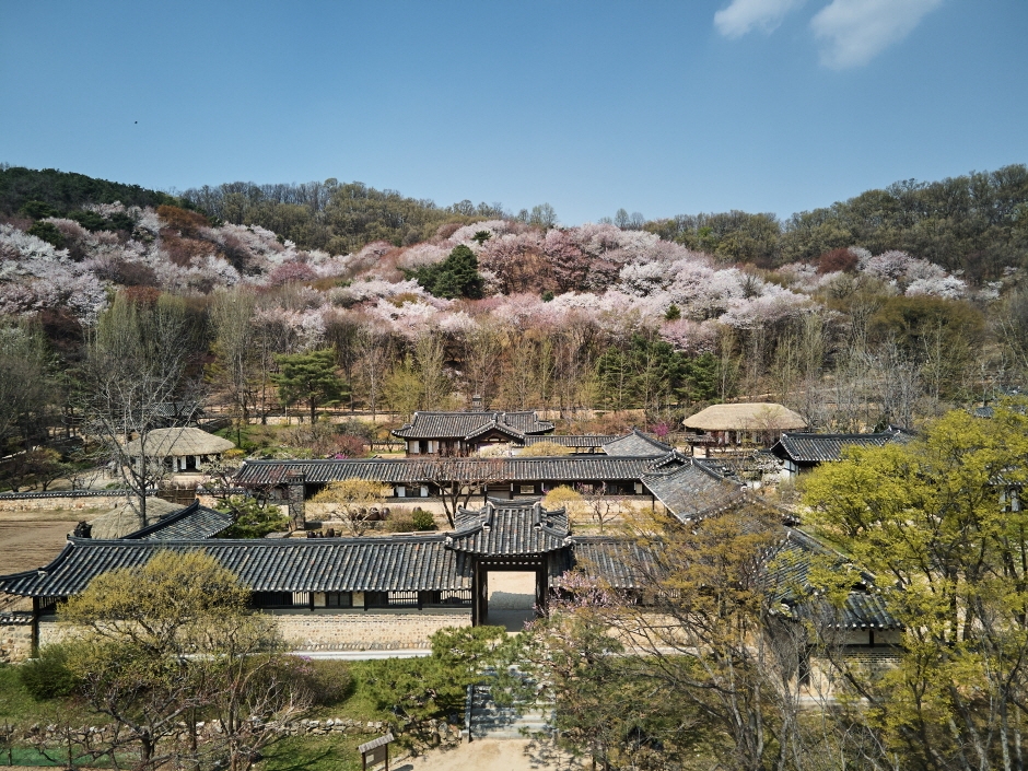 한국민속촌 봄축제 웰컴투조선