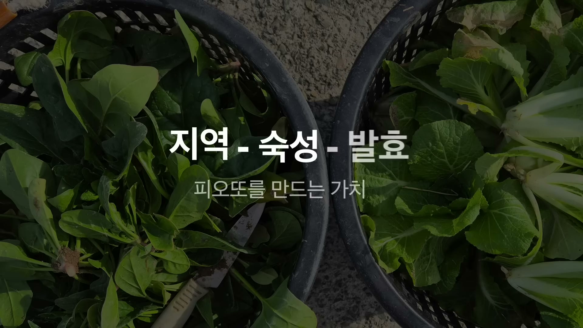 피오또 단골이었던 덴마크 부부와 셰프가 함께한 장면 또는 그 일화를 설명하는 컷.