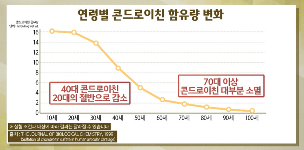 콘드로이친