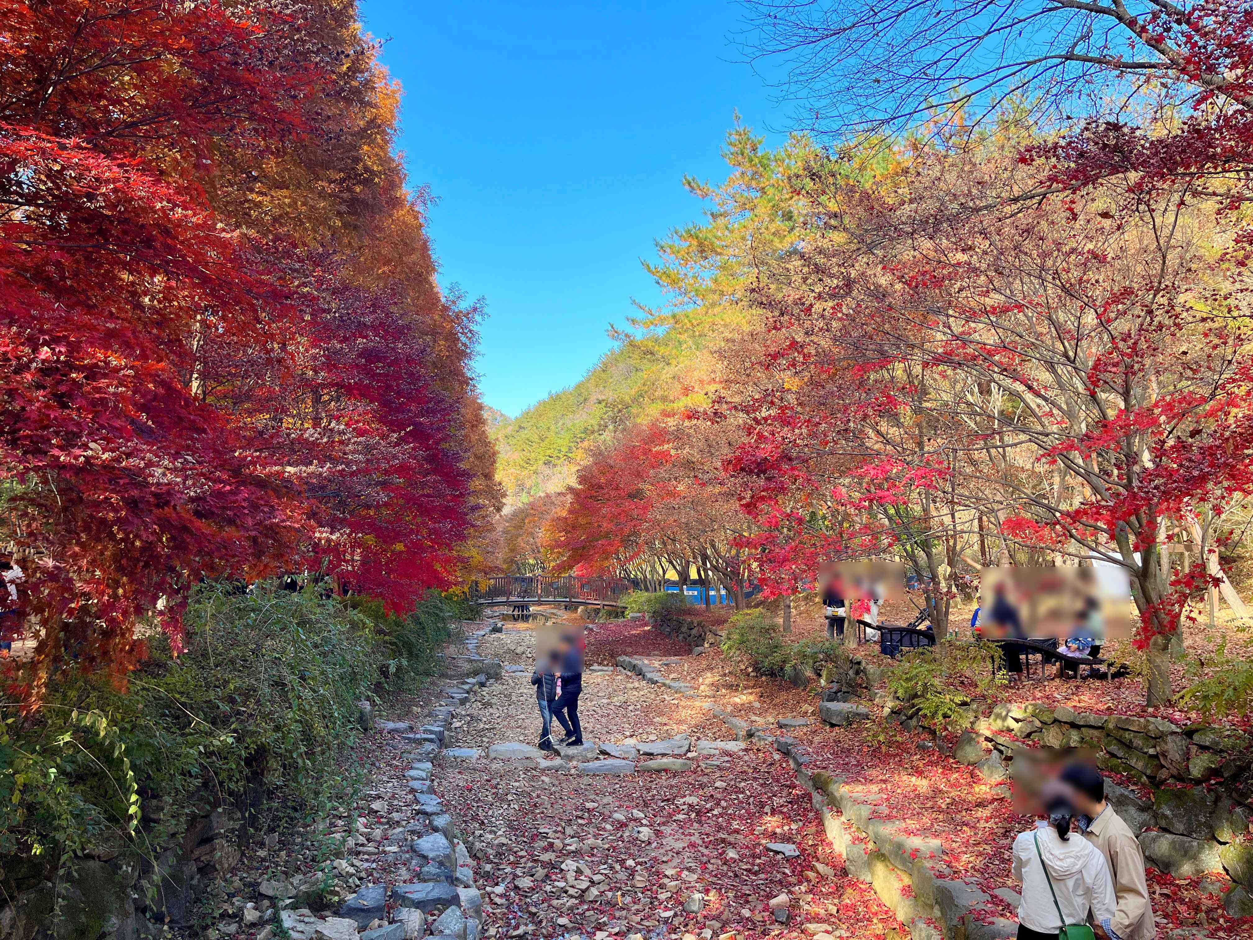 상소동 산림욕장