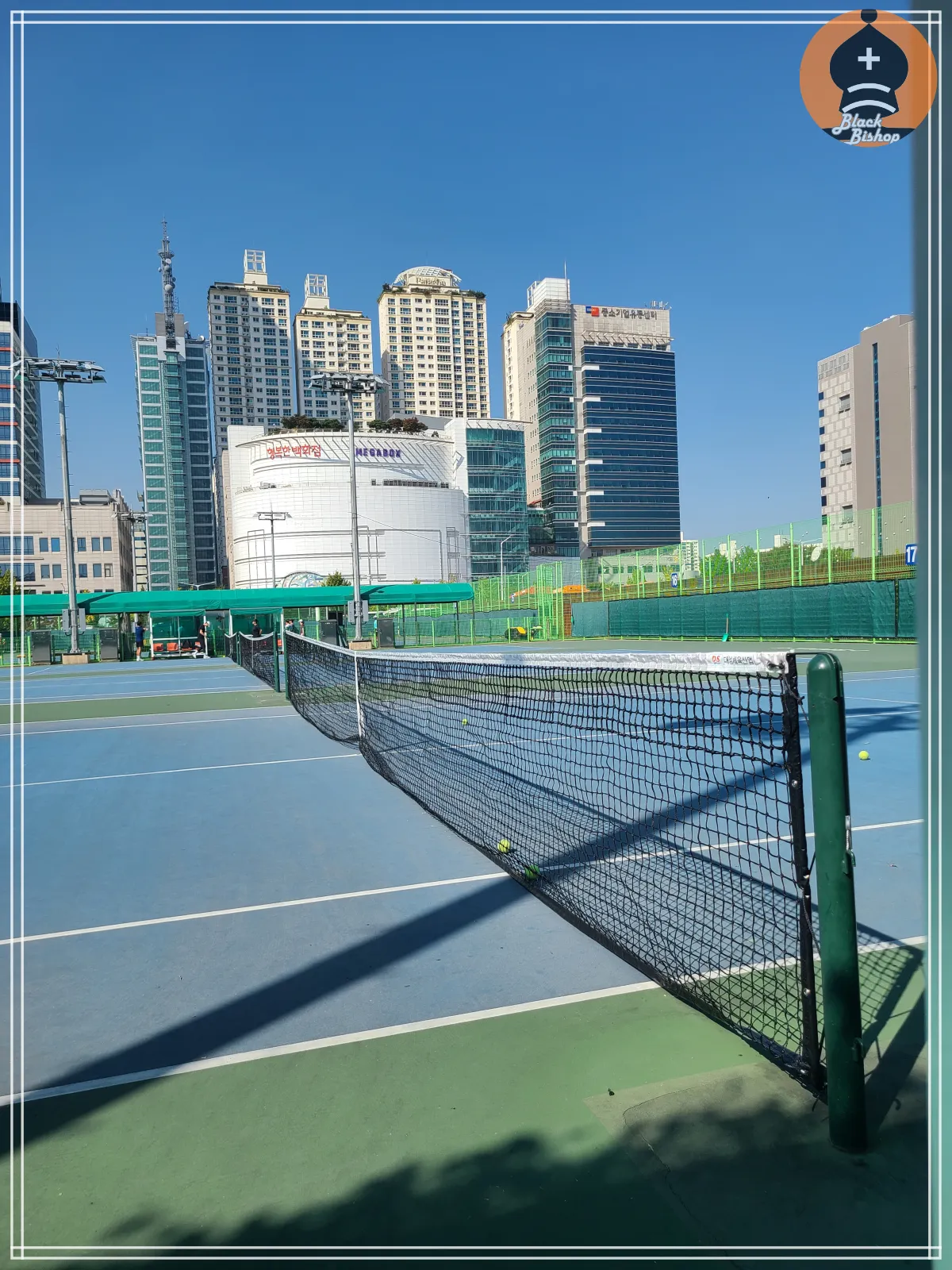 목동테니스장-네트중심