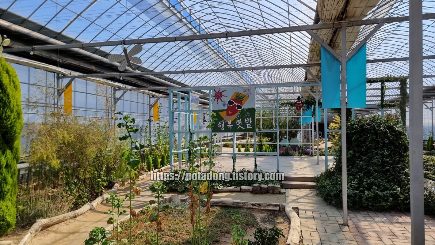 행복텃밭 실내
