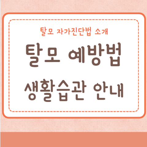 탈모 예방할 수 있는 생활습관