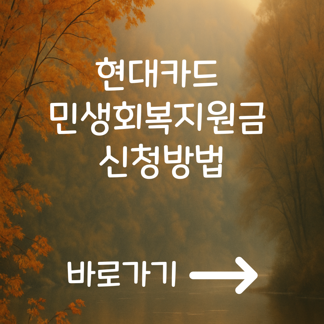 현대카드 민생회복지원금 신청 방법 & 사용 꿀팁