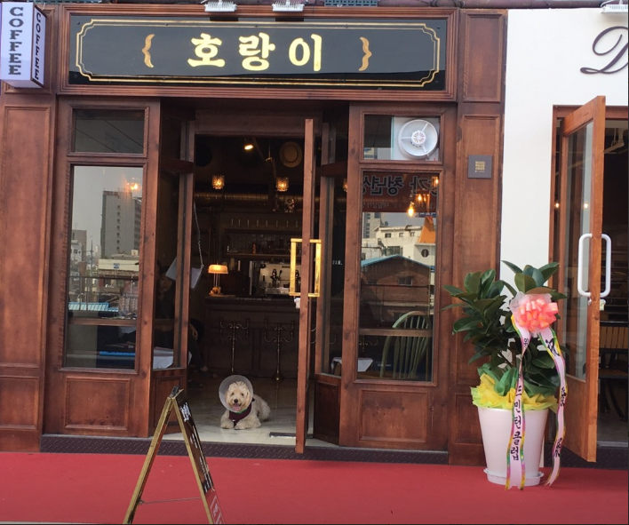 을지로 여행코스 호랑이커피 다녀오다.