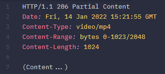 206 Partial Content
