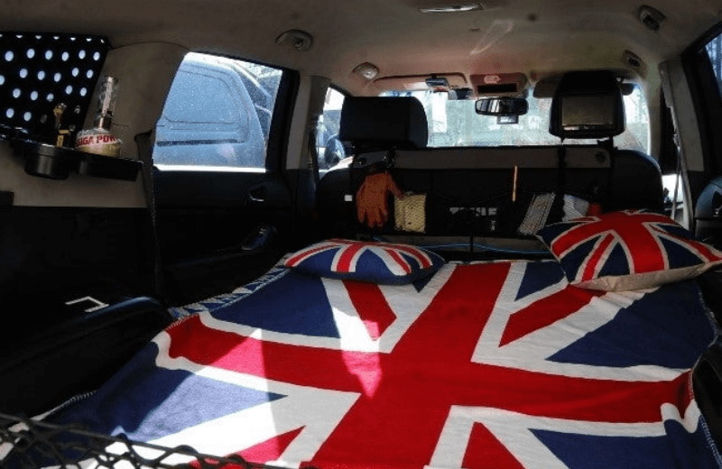 광활한 트렁크 이미지 2