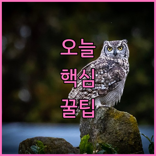 시니어 금융교육 무료 신청! 안전한 ..