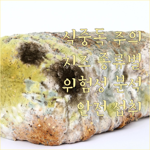 식중독 주의! 치즈 종류별 위험성과 ..