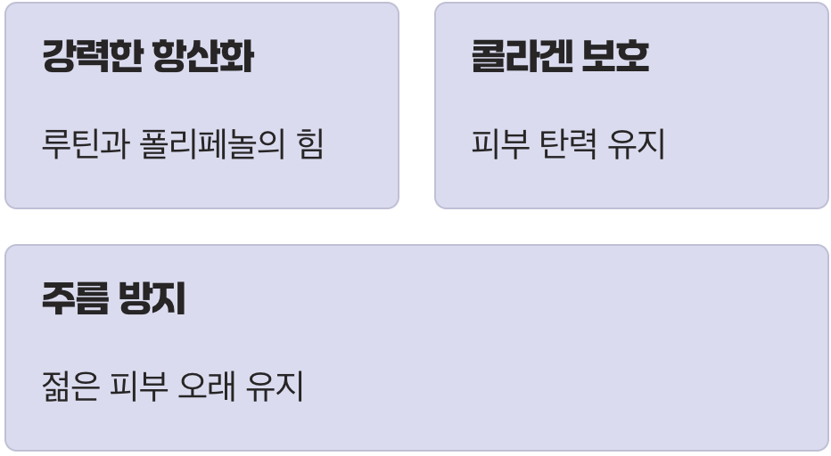 피부 시계를 거꾸로, 활성산소 청소부