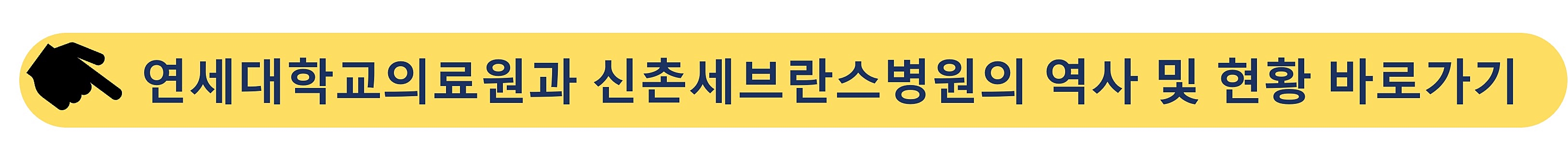 연세대학교의료원-신촌세브란스병원