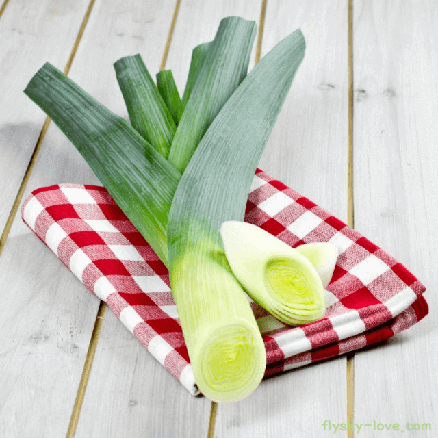 릭 (leek) 고르는 법
