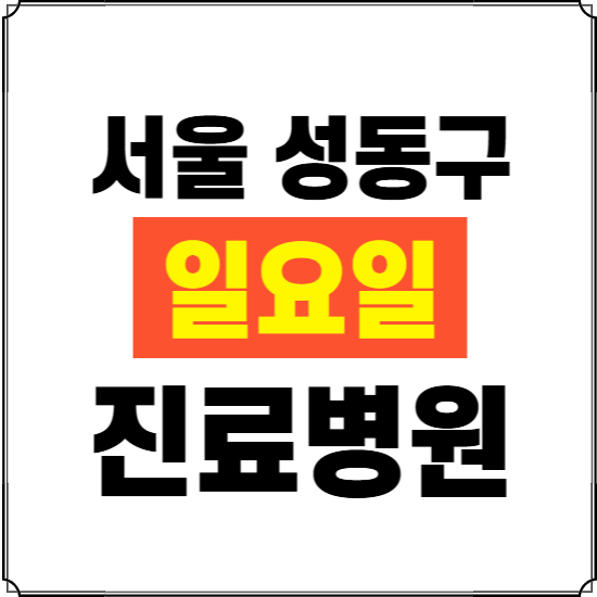 서울 성동구 일요일 진료병원 찾기 ❘ 24시 휴일 주말 응급 야간 심야 문여는 병원