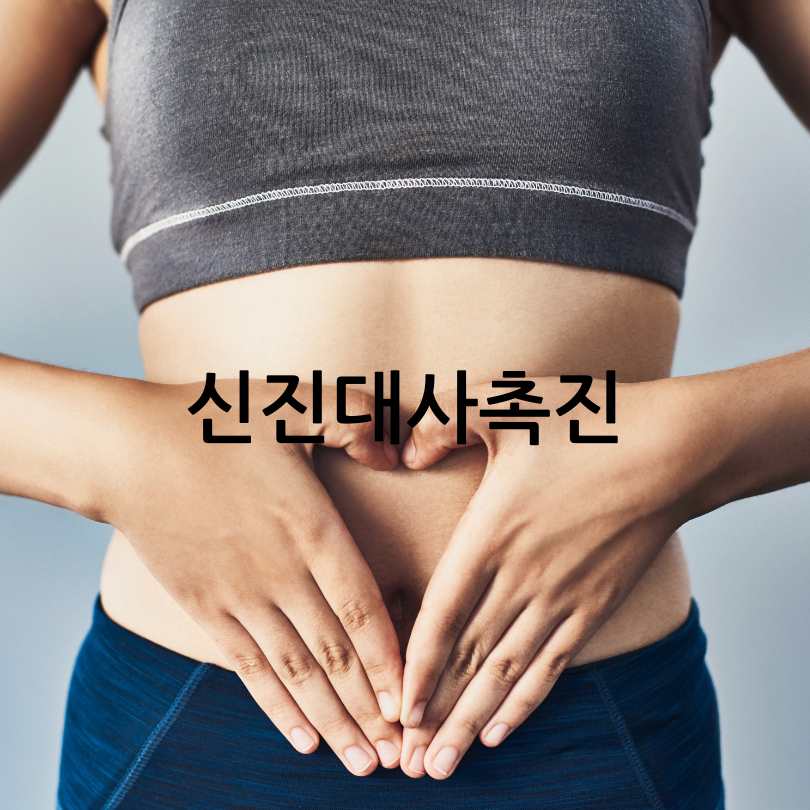 레몬버베나 다이어트