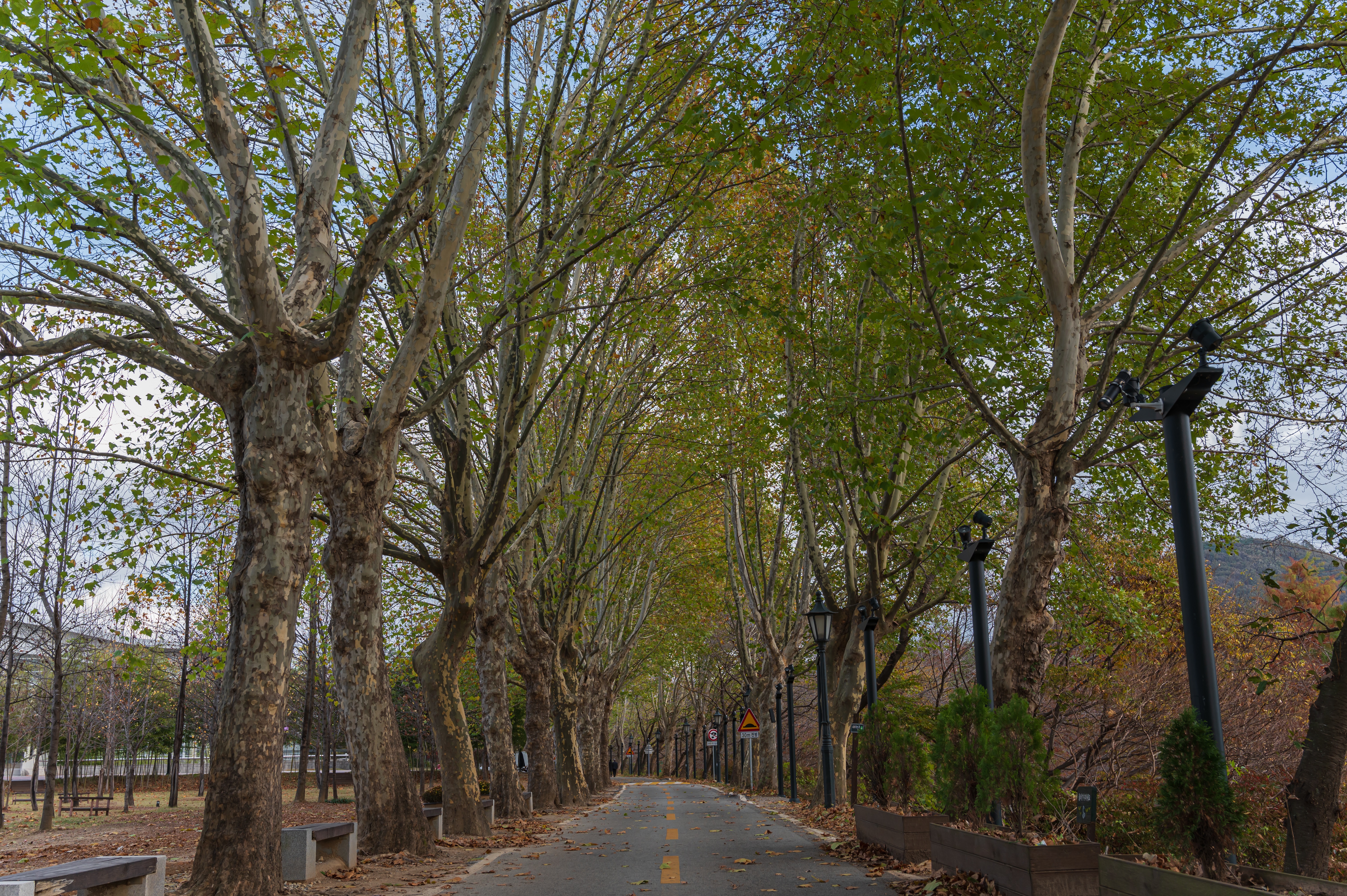 ๋ด์ ๊ด๋ฐฉ์ ๋ฆผ