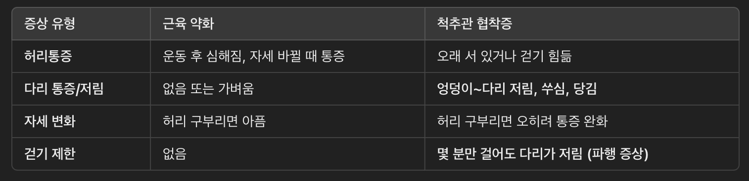 대표 증상
