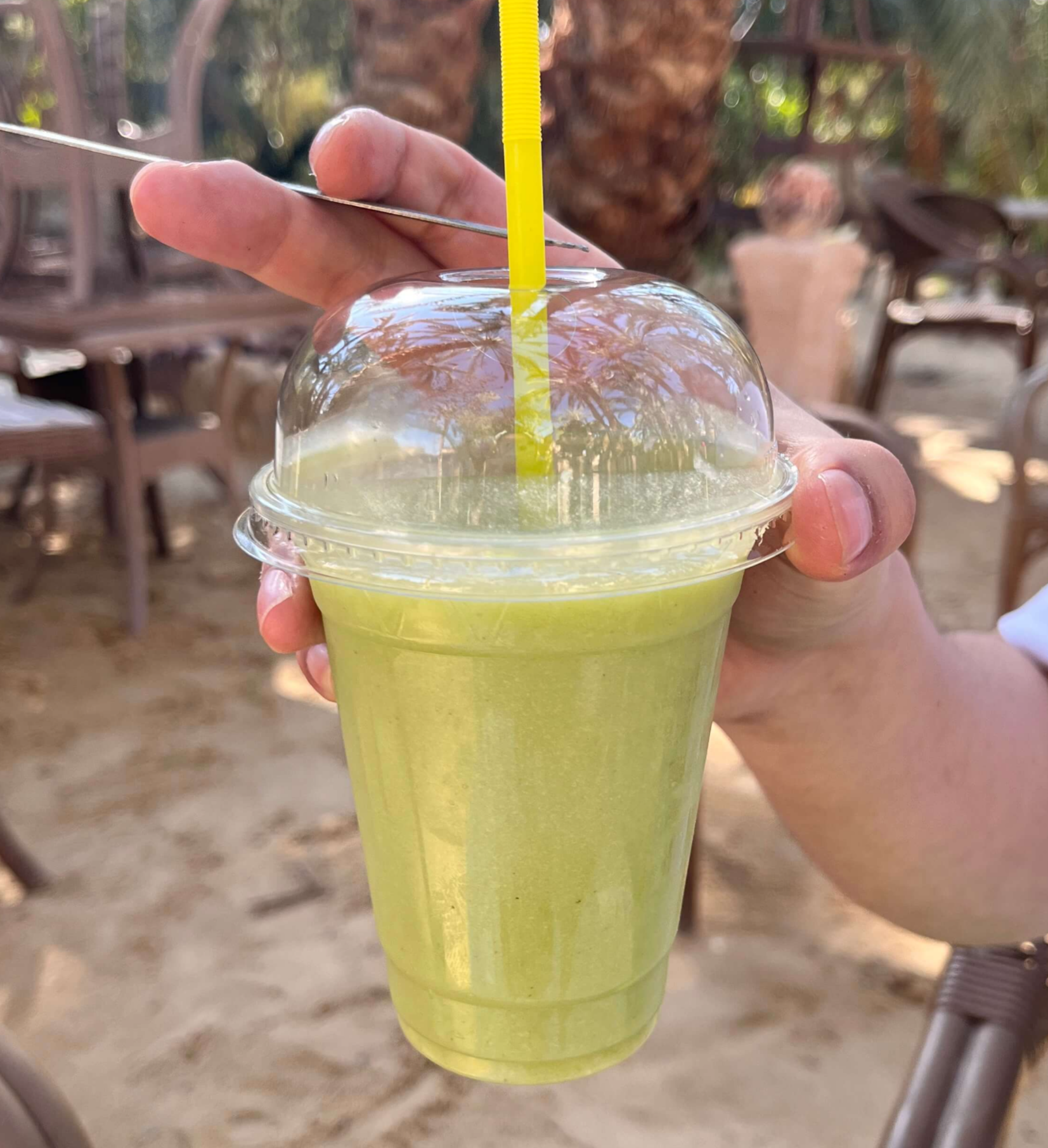 클레오파트라샘