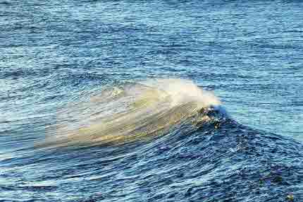 양양 가볼만한곳