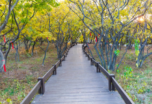 서울 근교 1일 여행지 추천