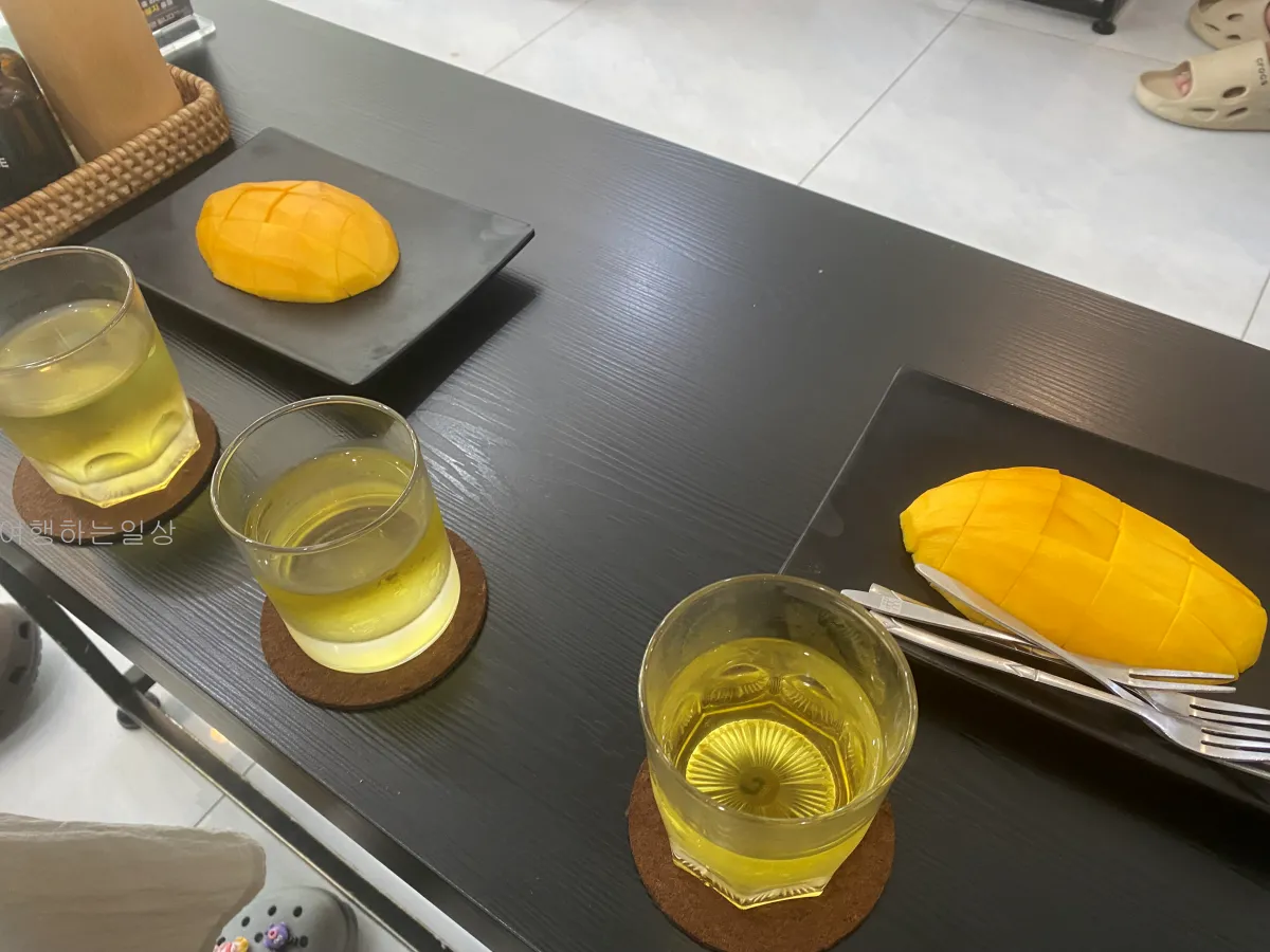 나트랑-여행-마지막날-무료픽업샌딩-브이스파-시내점-센스파-솔직비교후기