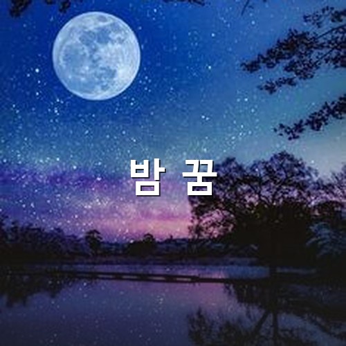 모든-소망을-이루어주는-보름달이-떠있고-수많은-별들이-쏟아지는-아름다운-모습