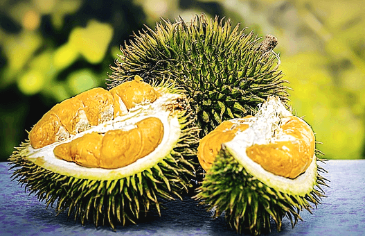 두리안 한통과 반으로 자른 두리안 2개가 있다. 속 알맹이는 노랗게 잘 익었고 타원형이며 껍질엔 뽀족한 돌기들이 많다.