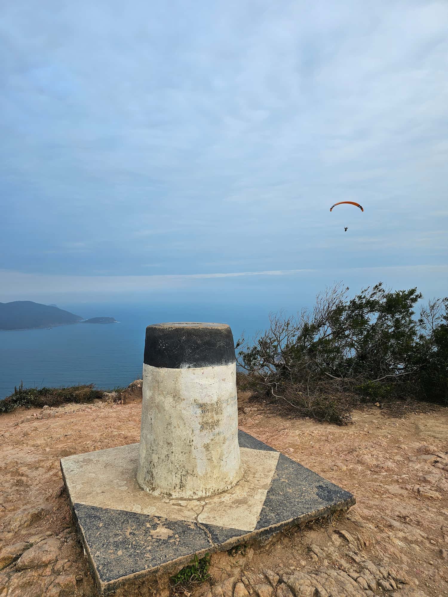 드래곤즈 백 후기