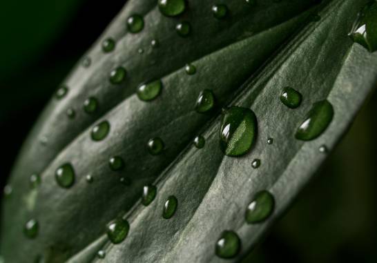 2025 장마 기간&amp;#44; 지역별 예상 일정